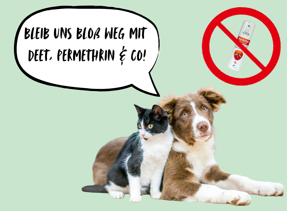 Bring deine Haustiere nie in Kontakt mit DEET oder Permethrin